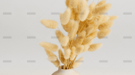 demo-attachment-716-pexels-artem-podrez-4612458